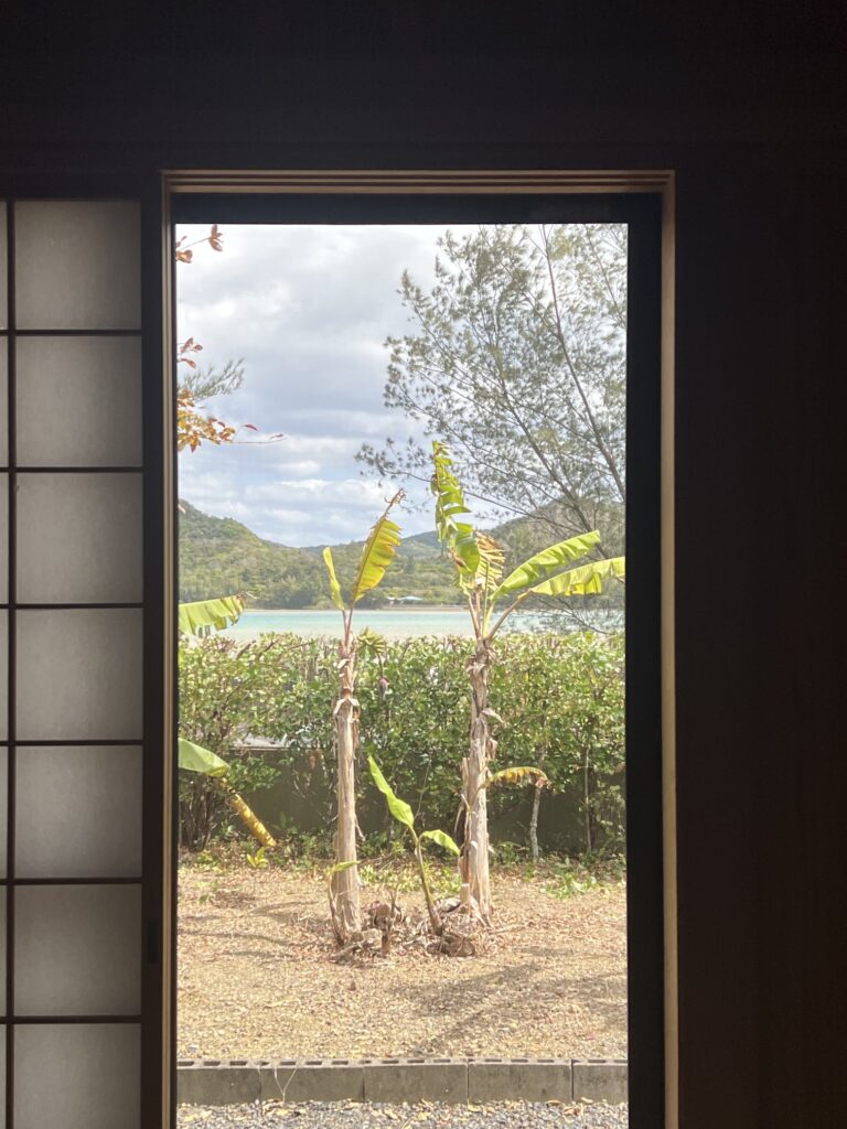 和室から眺める庭