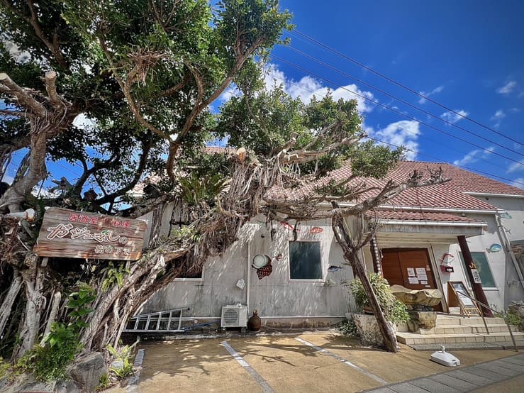 居酒屋 ガジュマルの樹の下で